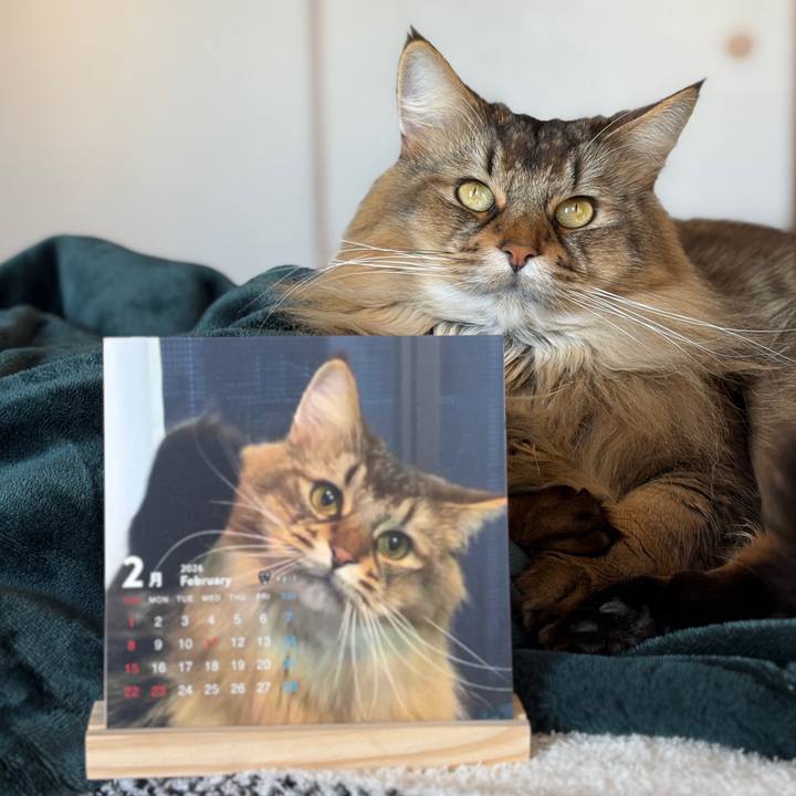 2f7633d3 c825 48db b0bc 0f628ebd0c62 1769915734557