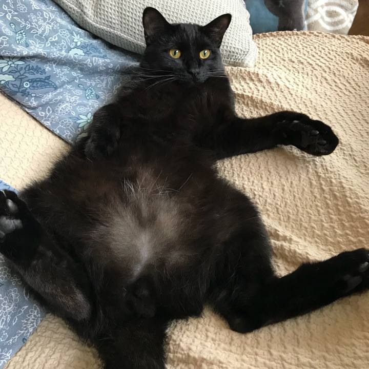 2f765392 2e47 4223 bdf4 c8c595f4699b 1529124023040