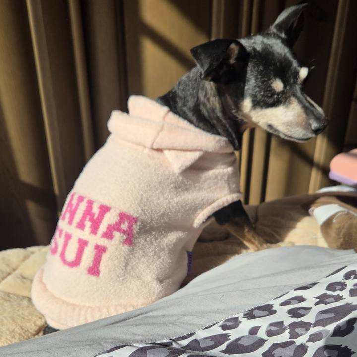 2f76b0ba 5536 462b 8f2f 1f10ef060cfd 1769401610582