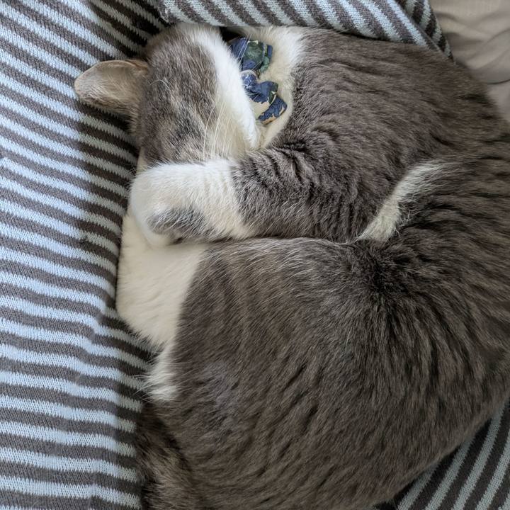 2f76b7ac e6a5 4d69 9670 cc1b46ba788a 1772156665391