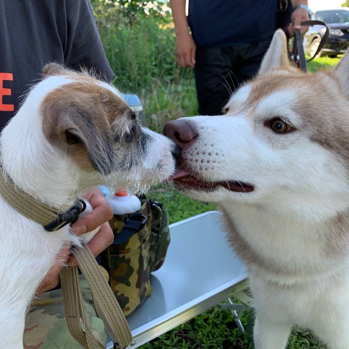 2f76da44 d3b9 482c a953 951bd6d1cee0 1560669628521