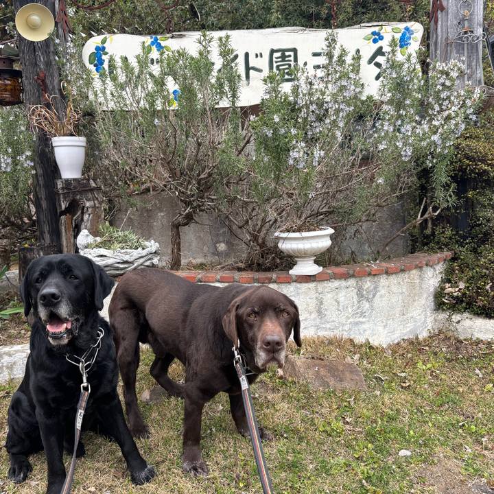 2f7718dc 6efa 47ff 8f68 a2c8b241b88b 1773402437792