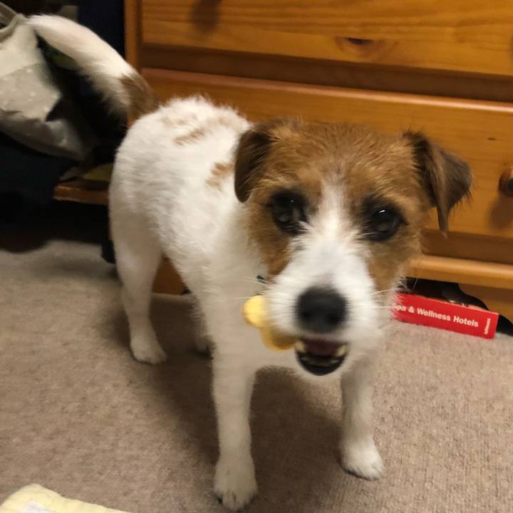 2f77261f 85ad 4a02 97cf 6d3cd0f715d9 1534336074215