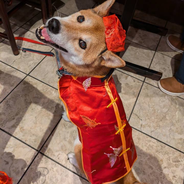 2f773a77 52cc 48fa 9fe5 e336059f6faa 1723067473954