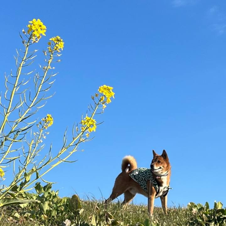 2f77568a 75a7 4aeb be69 39d4b3272862 1675634531607