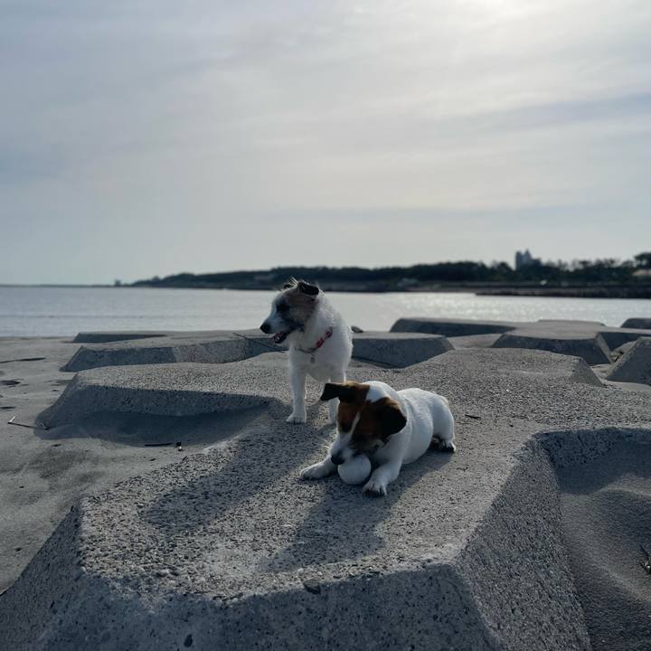 2f7762bb 38df 4857 8d70 18302eac8648 1715389346224