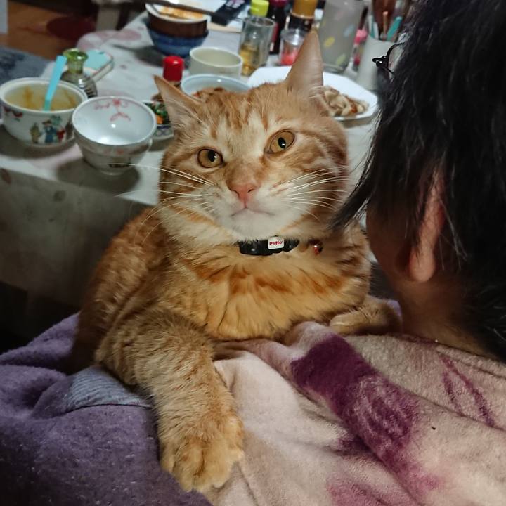 2f777e34 1019 4080 857a 1f7ddf6e73de 1645614810401