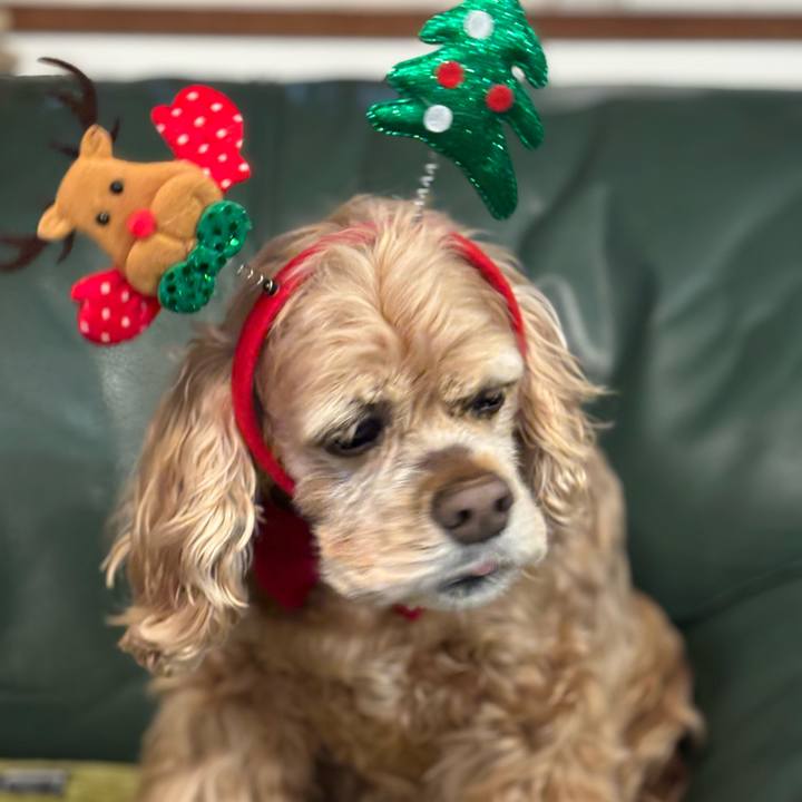 2f77b8bc 1467 4014 b41a 2e1bc2733224 1766674750097