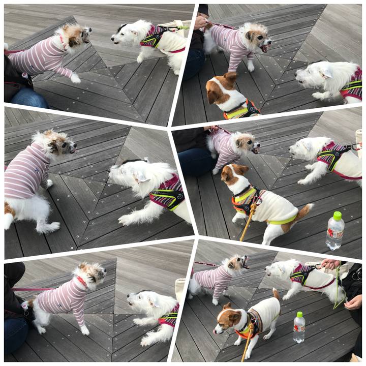 2f77c078 ca83 4a13 a351 f0fb3b6f90ca 1512216695501