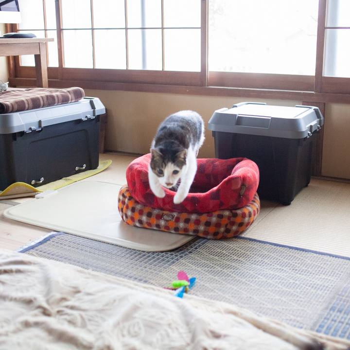 2f77c2d6 5db2 42f7 965b 6b966428c77e 1575086526478