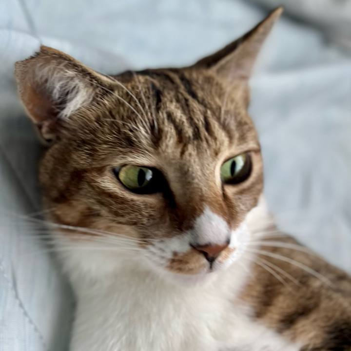 2f77d7e8 c76e 4fa7 9838 b6e975fdca96 1758371724628