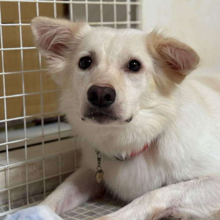 2f77e5d8 d4ac 4879 b0ce f137c7837123 1759842283845