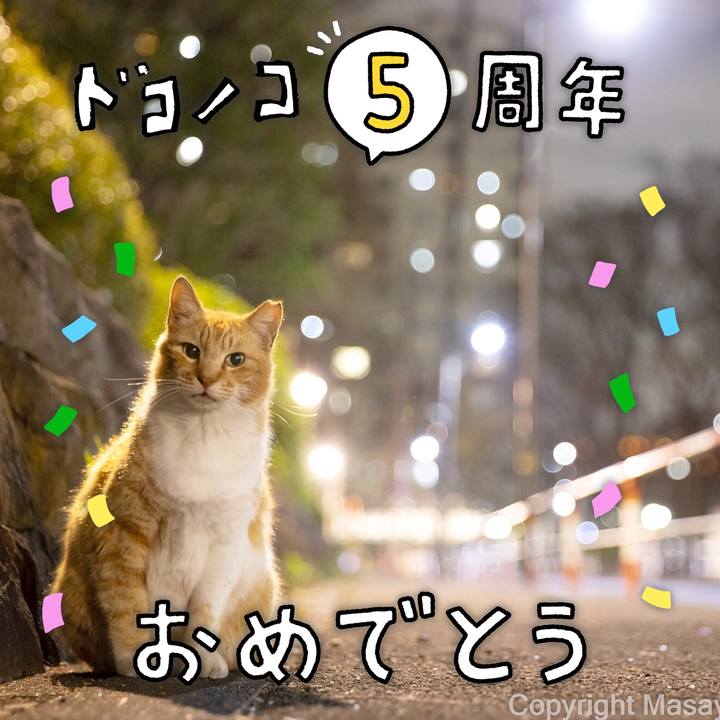 2f78038f ad55 4bee 8a95 ad5b1acef3de 1622860055886