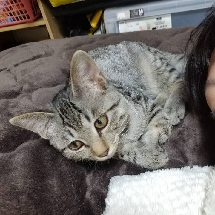 2f7821cd 390a 41e2 a7f8 a83f88c1c22f 1668094608013