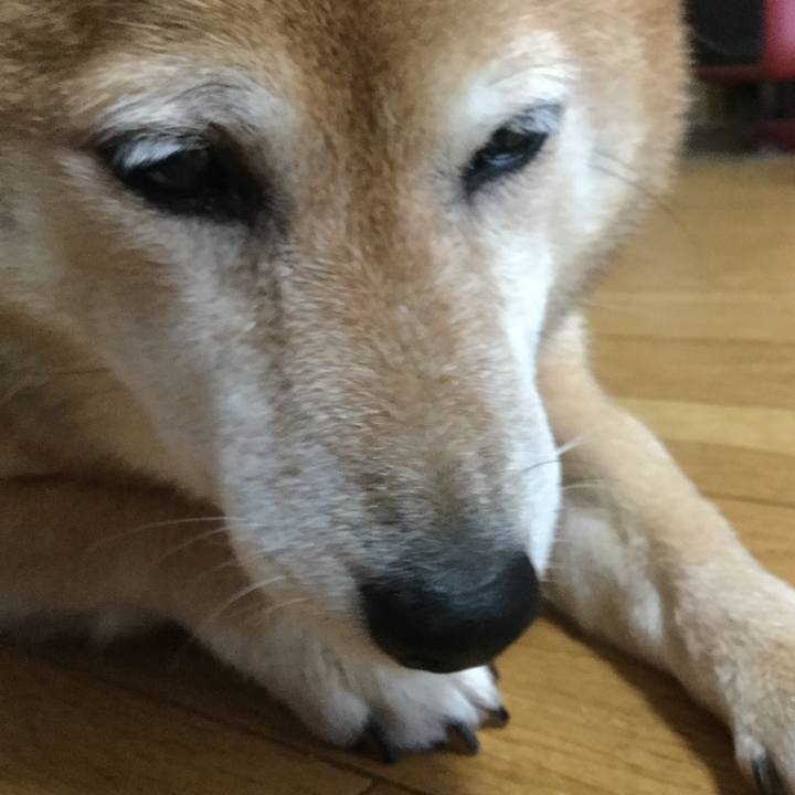 2f78a158 5ed7 47db 8ed4 d3c456e0d5ae 1596063361638