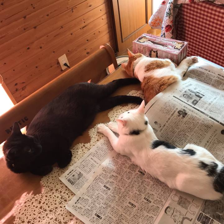 2f78b9db 9464 4bb1 9986 c95275288725 1590797154256