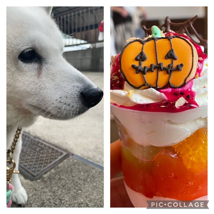 2f78d084 a2cf 459e 918c ea5a9cd92113 1698148575198