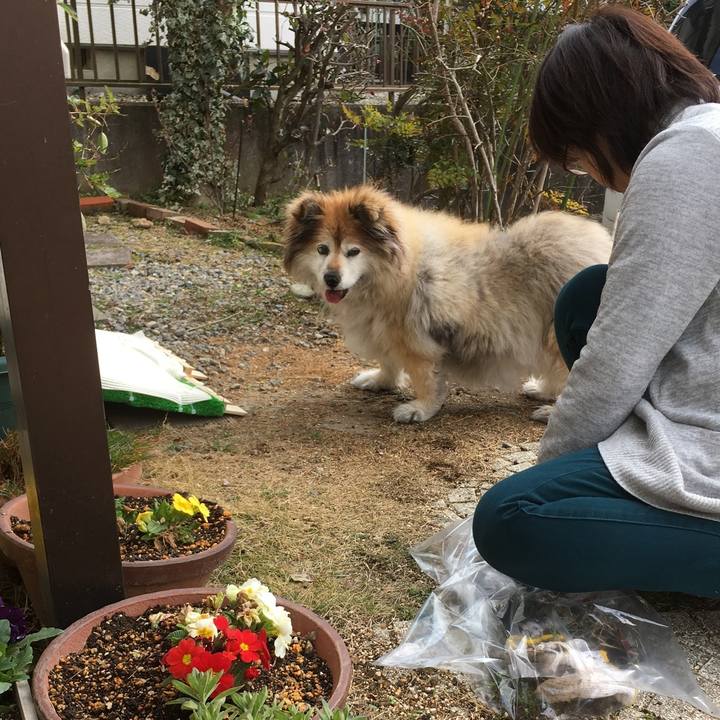 2f78db2b be7e 4e69 a031 8f6de1c4ffa0 1564203460505