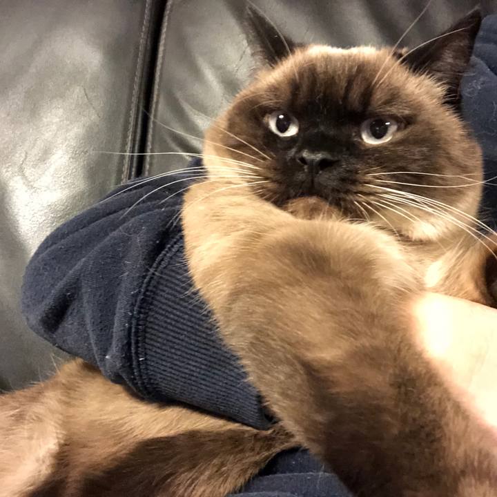 2f78ea4d 6afd 49f3 95ff d456d9c6e867 1609033048445