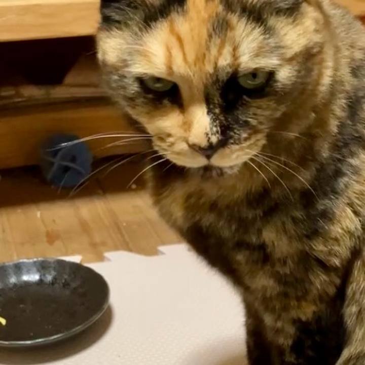 2f79200b b3ae 43c5 9e8e e1c0156ea9c1 1732331239527