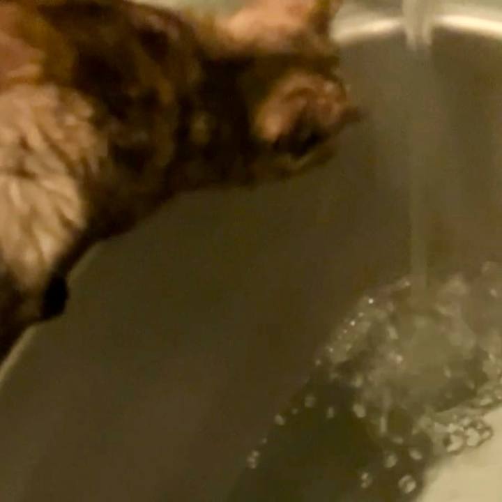 2f794fa8 a32c 4a18 9dfd 63e515497bcf 1738525535603