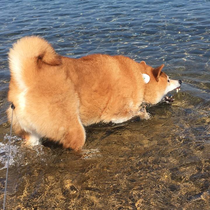 2f796307 f0c0 41de bec9 c4e0737698ce 1628337206314