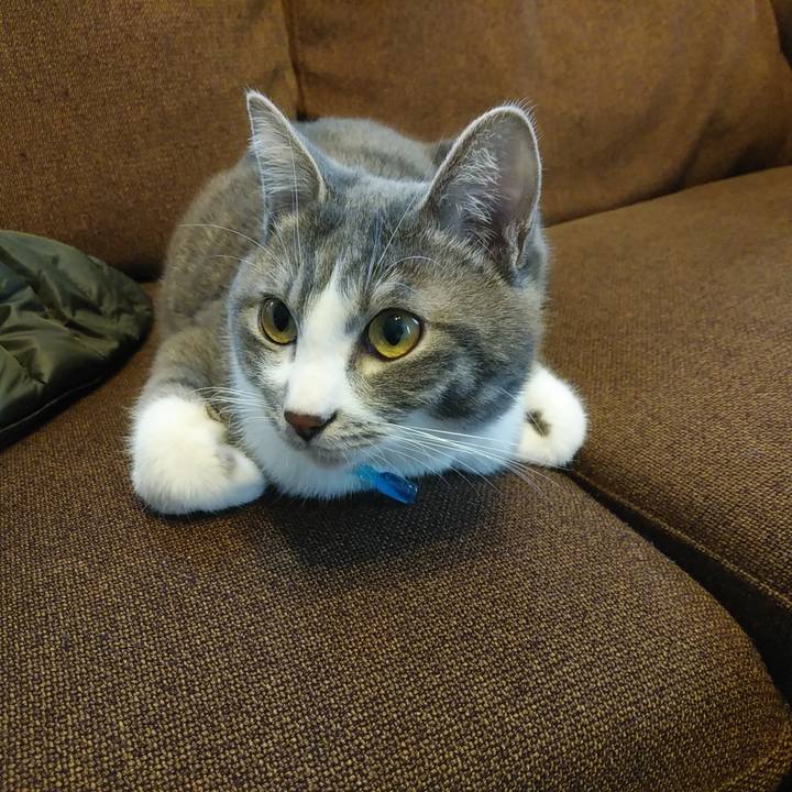 2f799286 b7c1 46ef af1b 90f9005e3bbe 1582610559344