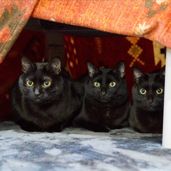 2f79afa3 f2a2 4ba0 b9da d0dad4598963 1581033232108