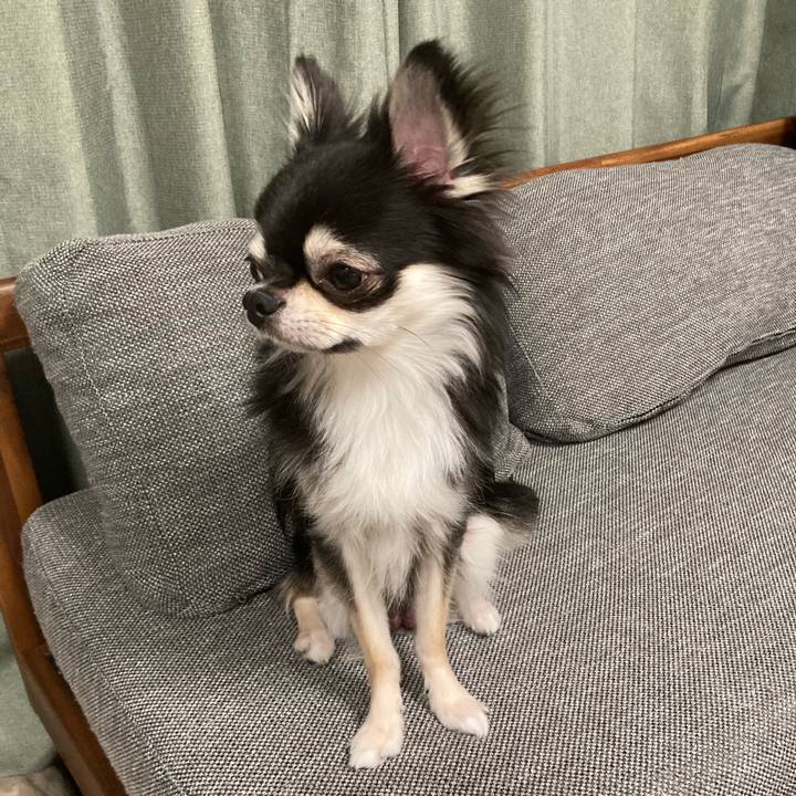 2f79d814 e1b4 480c a472 216dae956c9b 1624107660086