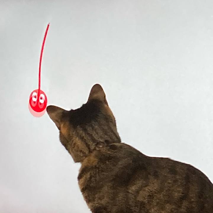 2f79ddf1 c2c8 4699 a614 181fa73e26f2 1614050956918