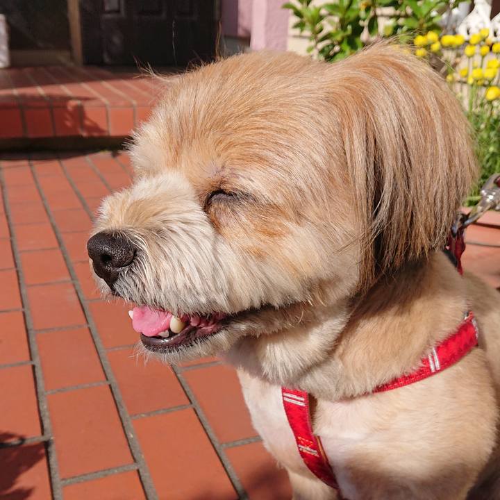 2f79f7cc cde9 4dec a96b 0b4bbe46f426 1589326161433