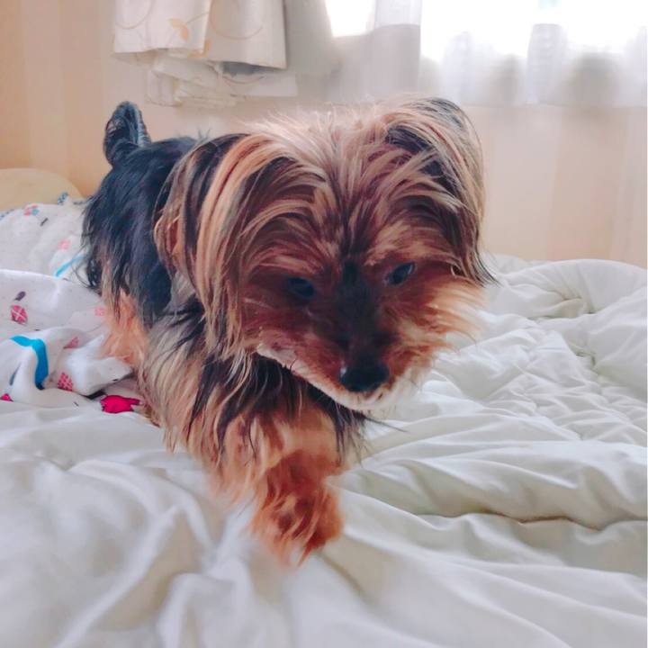 2f7a7069 a22a 4010 85b1 e47925628436 1533346685377