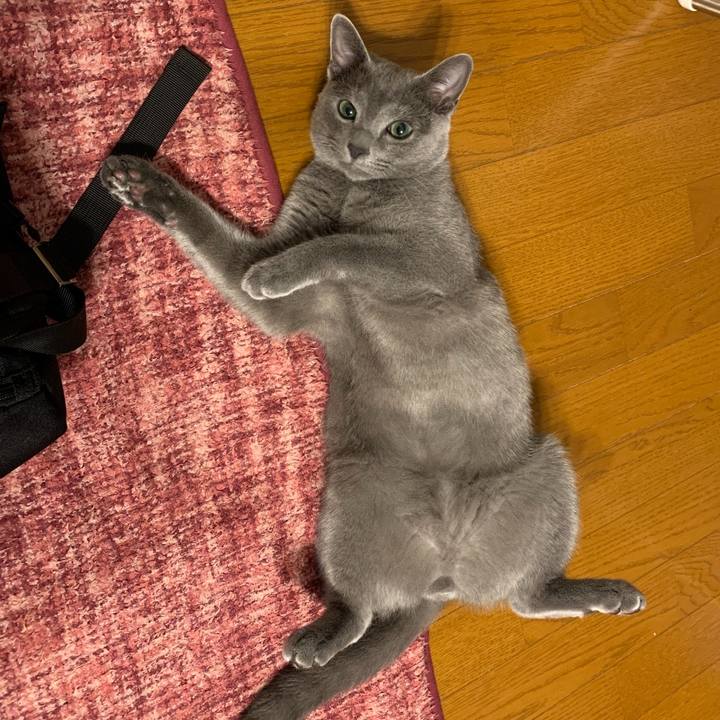 2f7ac2ba 761f 48c5 a5df d0111748850e 1575961767302