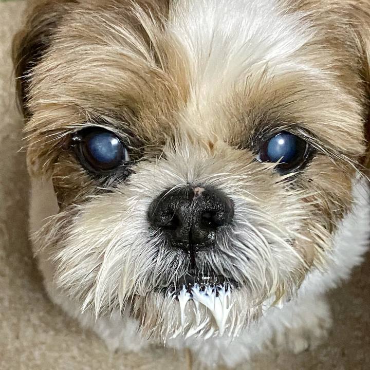 2f7acfd6 0088 4e31 958d 33f70ca6fc28 1629715762346