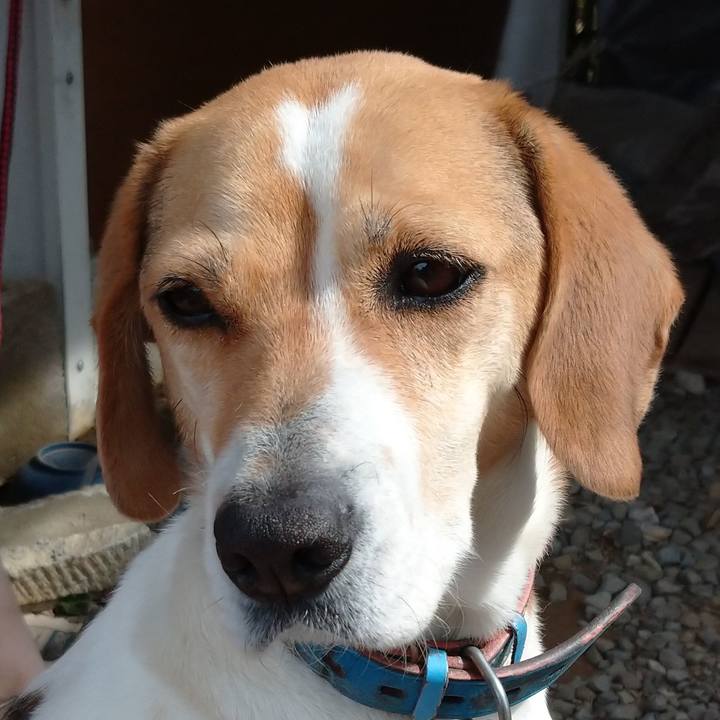 2f7ad6c3 9249 4a06 9913 9c14fff52634 1615267098528