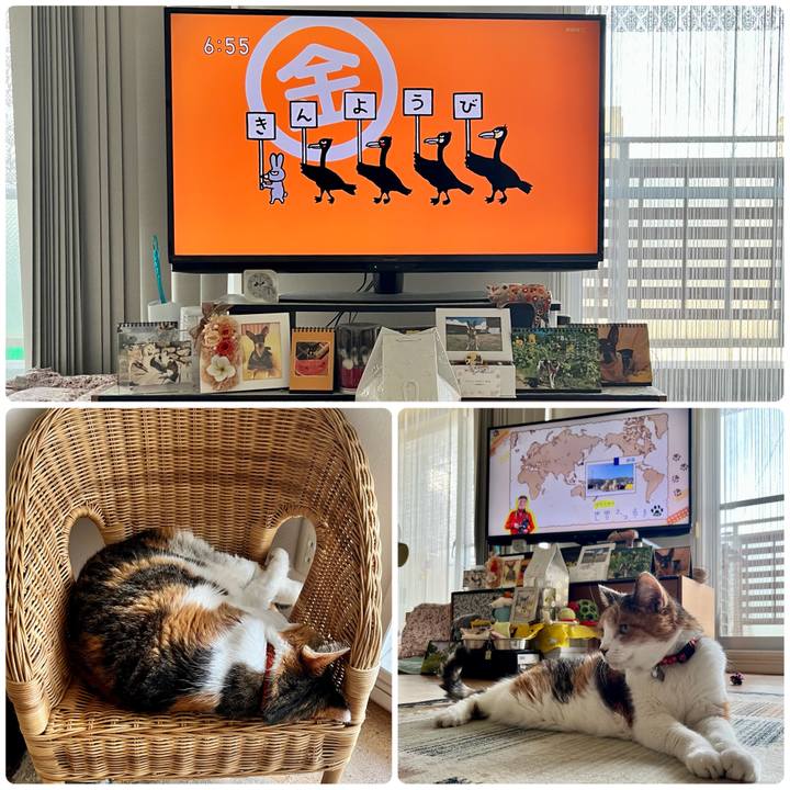 2f7b32b6 2b83 49dc bc5d ade74f1a3935 1693521571643