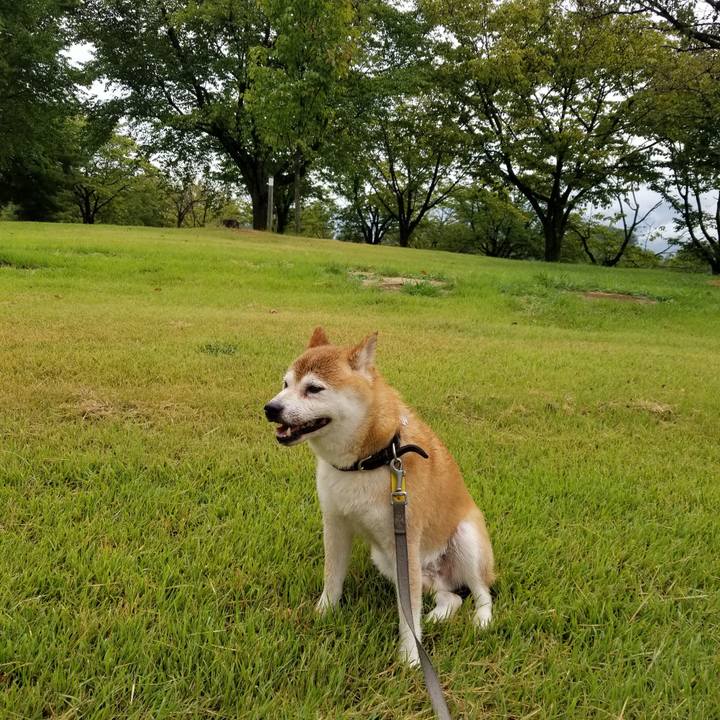 2f7b39d0 9738 45df ac30 85d46a033005 1628755499706