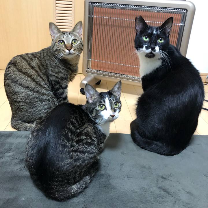 2f7b3e56 042b 4519 a864 40059c8ad128 1547715253095