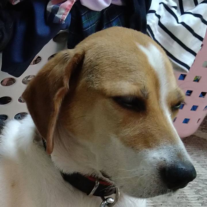 2f7b940b 0d53 4eee 91a4 242783850bbd 1627197409269