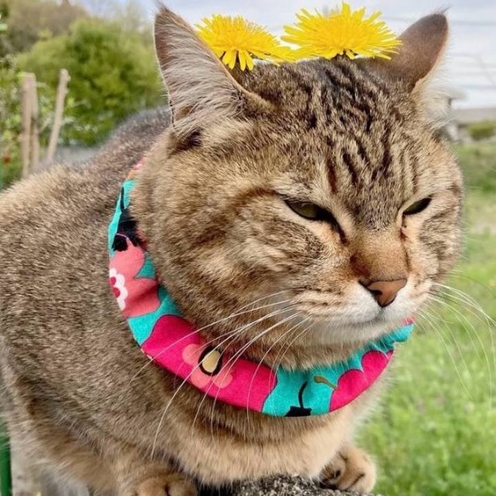 2f7ba03b c754 453c 9342 79f3b6ee8a2a 1772414104175