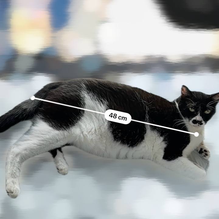 2f7c0abb f24c 4008 84f6 e91f3f782b73 1754264885308