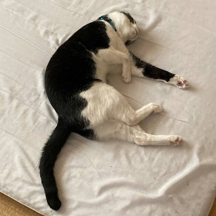 2f7c0cee 63e9 49a6 a9fe 95ae63f49823 1721637295171