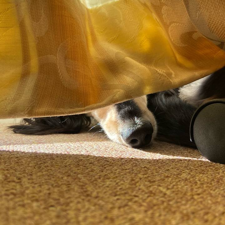 2f7c1d22 aeeb 4bcf b619 3c4e93bb276f 1734827756643