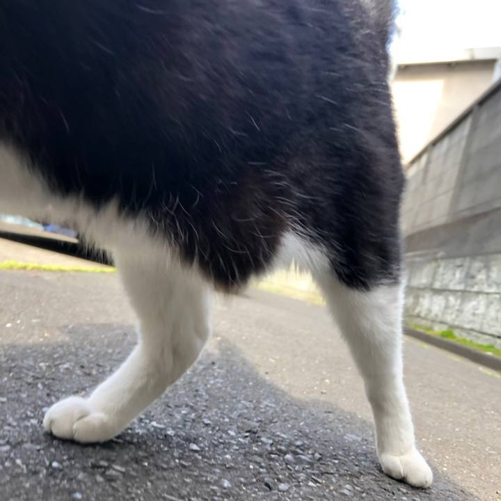 2f7c1d48 5cb7 4485 87af 5f9a78097117 1558190119761