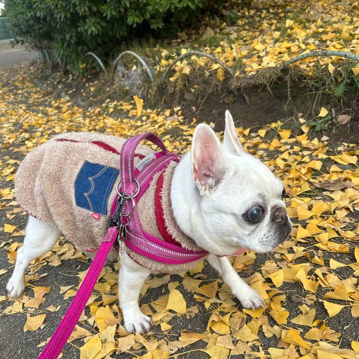 2f7c8a33 be51 4e39 b15e 2c84d49d35e0 1763871276856