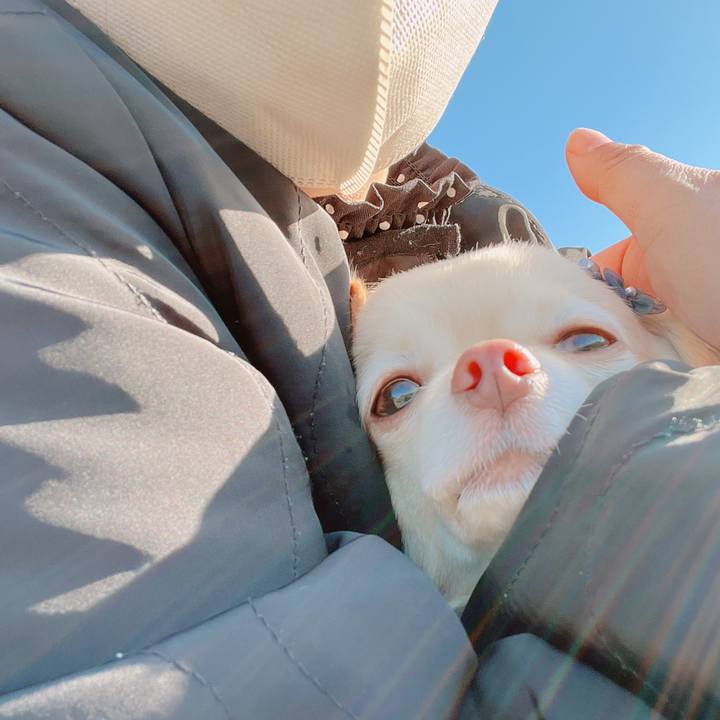 2f7cdba8 8cb3 4641 8aa7 3d1cfccaead4 1676447377525