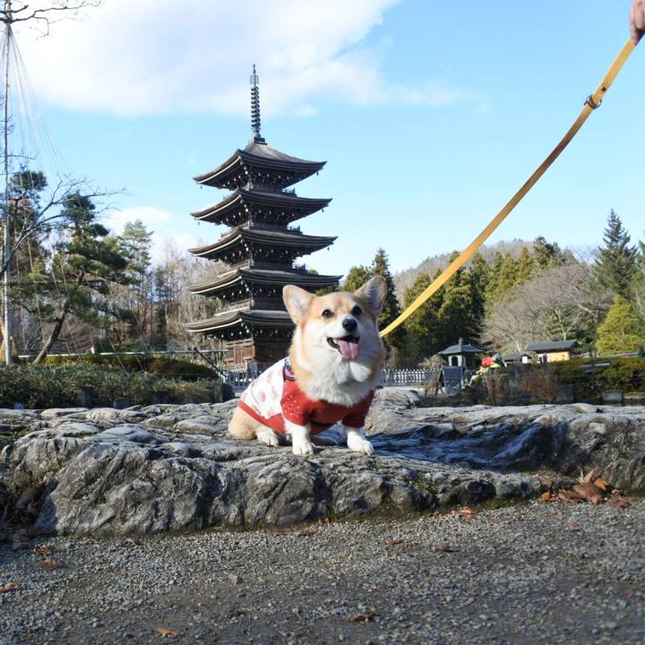 2f7ce005 756d 45f7 babe f41ef0c745ba 1671334400357