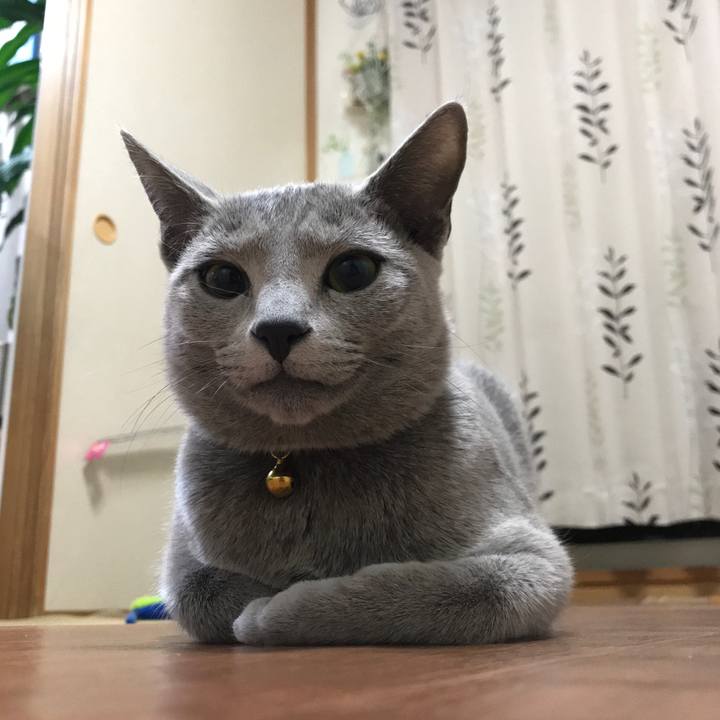 2f7ceffd 26e8 42b0 96cb affc932910f8 1515967637340