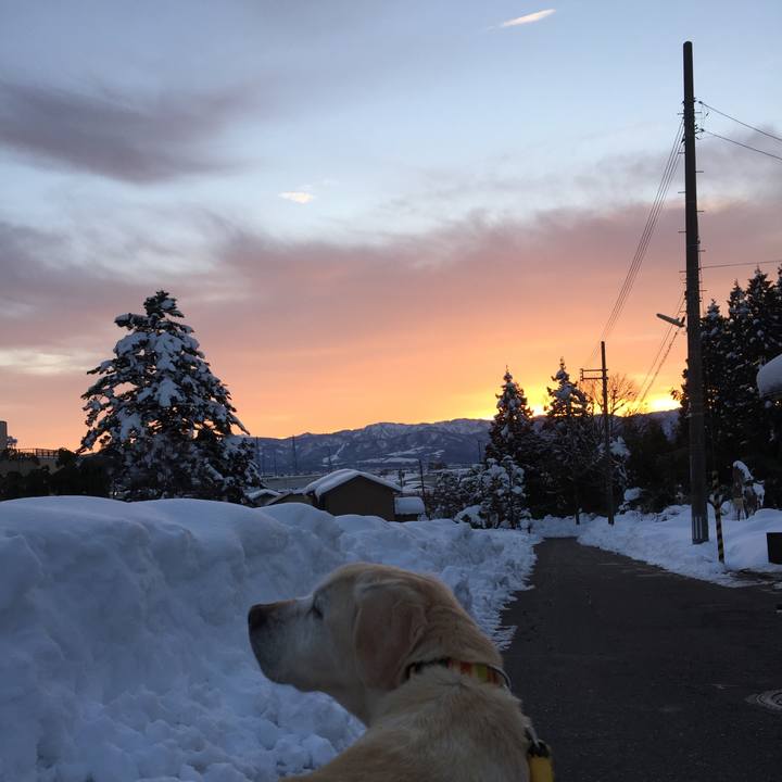 2f7d25f2 88b7 424e 8db7 551e150a6d75 1515972033052