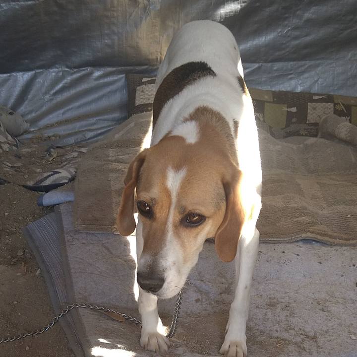 2f7d270b fb65 47c3 b153 b070cac797dd 1622526651944